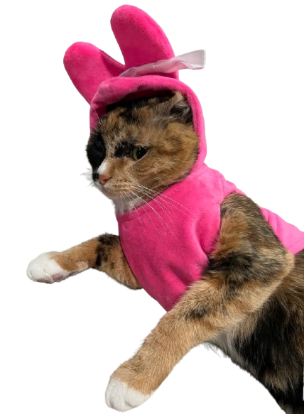 Peep Pet Outfit