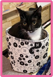 Box Bag Template - 6-sided Long