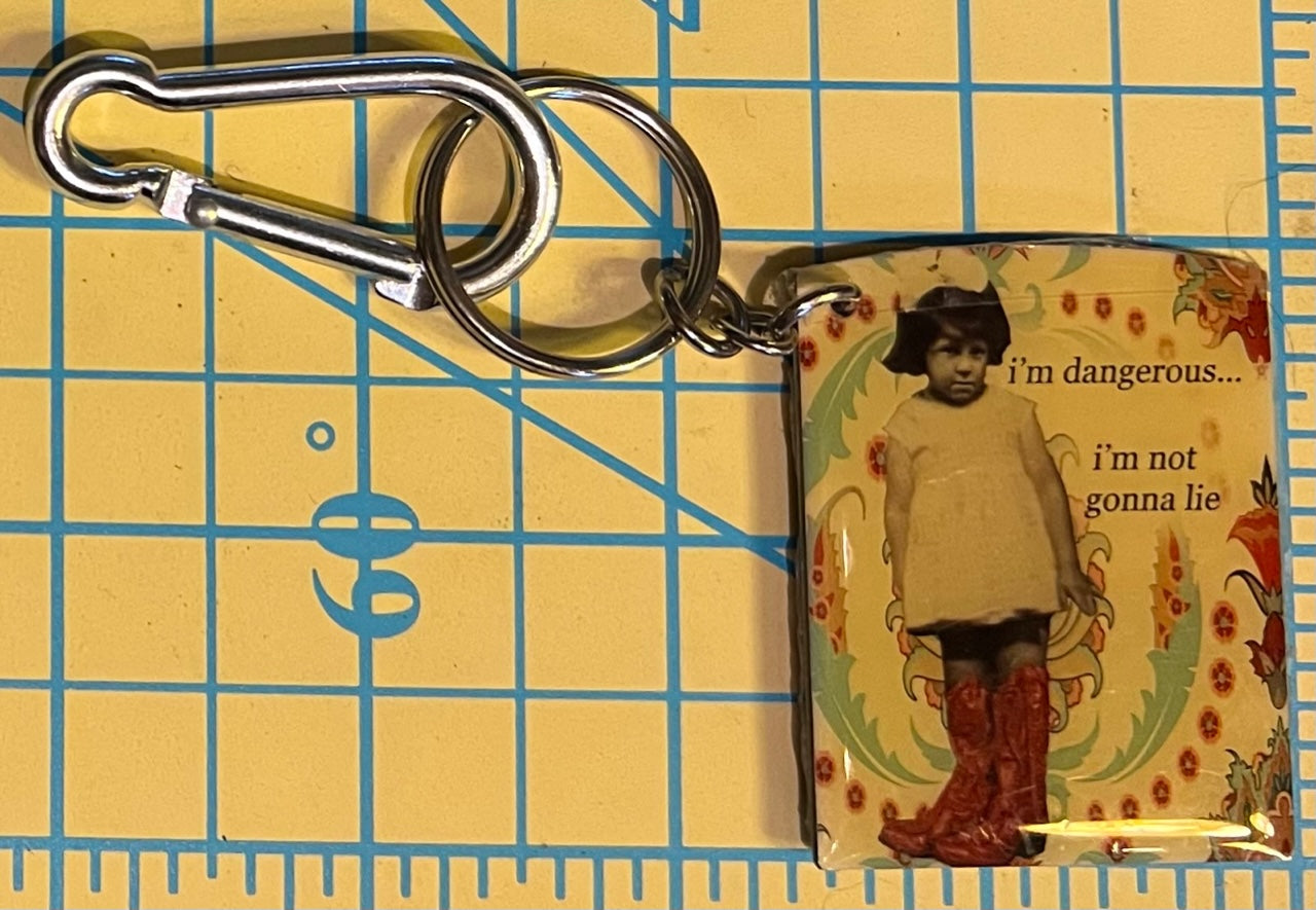 Dangles: Hardware Swivel Clip/Key Chain: Mix