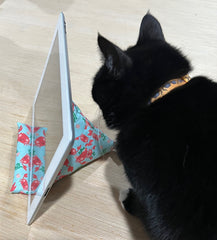 Cell Phone Pillow Stand Template
