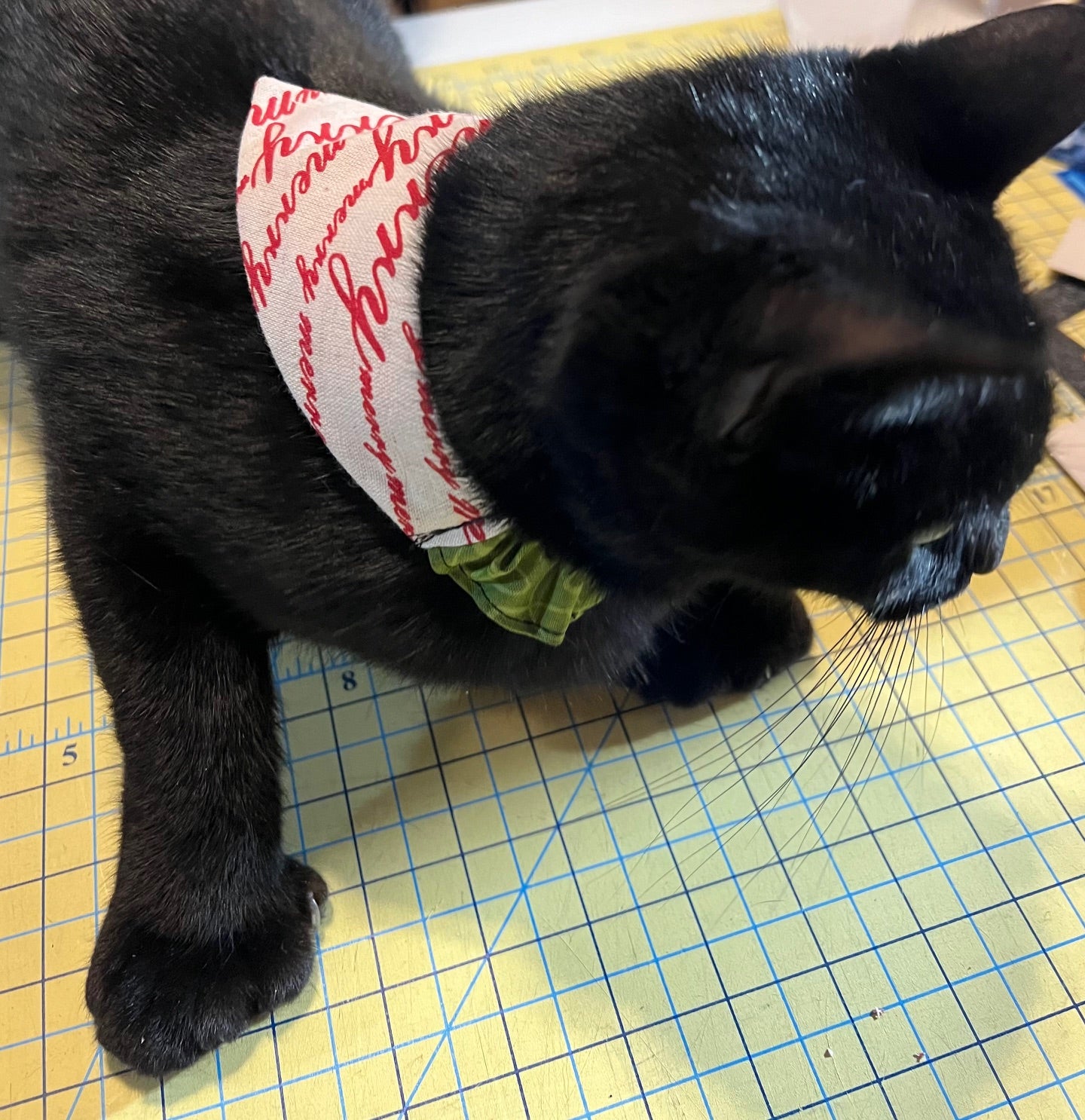 Dog Cat Bandana Templates - Elastic Slip On