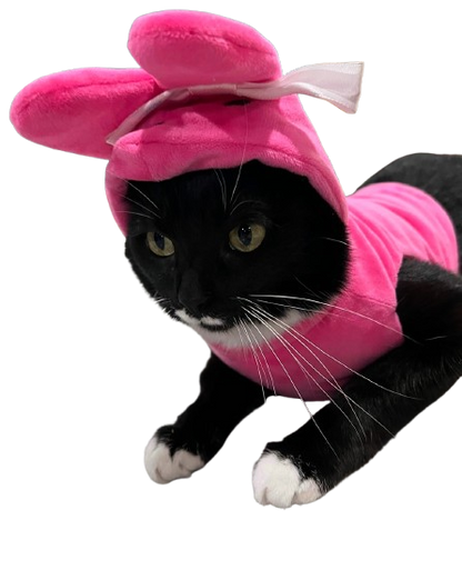 Peep Pet Outfit