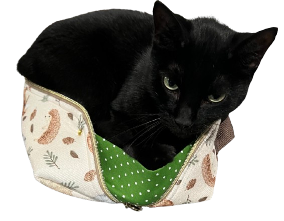 Open Wide Pouch Templates - V1 & V2!