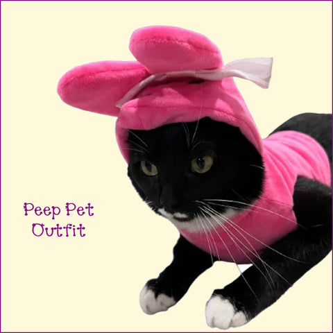 Peep Pet Outfit