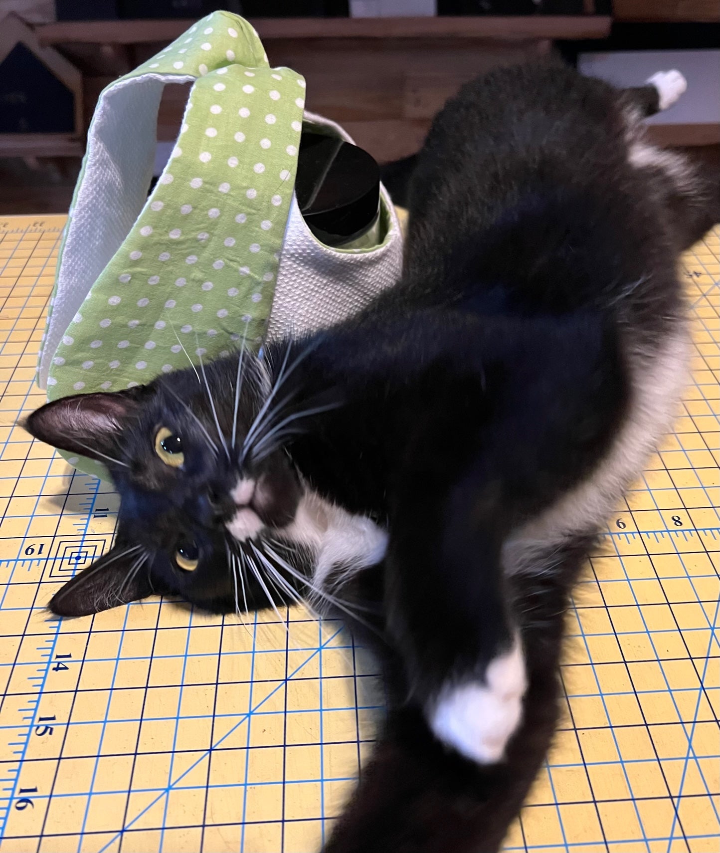 Tie Me Box/Bag Templates & Floppy Bunny Ears